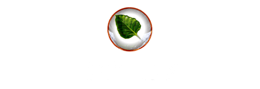 etc/bodhibuilder/plymouth/bodhibuilder-theme/logo.png